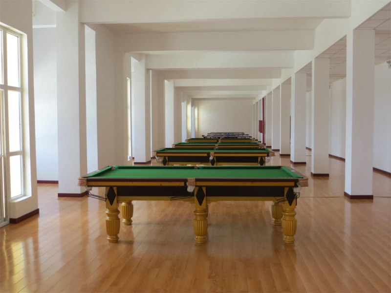 安庆永利集团88304官网鞋业员工活动中心1